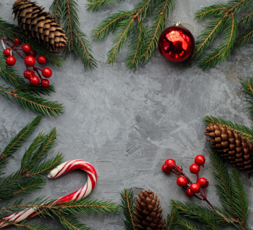 kate-hliznitsova-7zd7WPuQ82c-unsplash