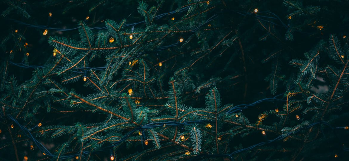 kieran-white-SBdmQcW8qag-unsplash