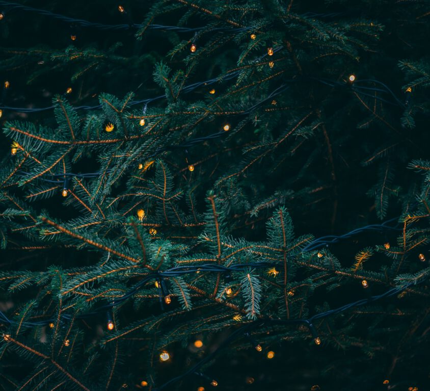 kieran-white-SBdmQcW8qag-unsplash